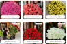 N&L FLOWER SHOP: Доставка квітів по Києву, Херсону та Микола