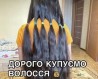 Куплю Волосся ДОРОГО в Ужгороді до 125 000 грн.