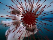 Covid-19 insurance policy to enter Ukraine - buy online