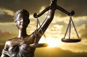 Адвокати (юристи). Надаємо адвокатські послуги по визнанню в