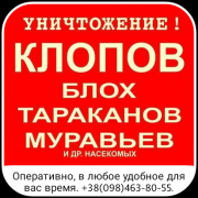 Дезинфекция