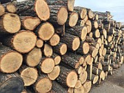 Продам дрова яблони, Харьков, Днепр, Полтава, Сумы