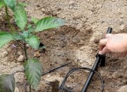 Шпилька-держатель капельной трубы Irritec- 16