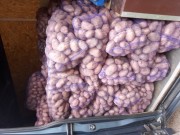 Картофель Домашний Харьков Залютино