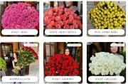 N&L FLOWER SHOP: Доставка квітів по Києву, Херсону та Микола