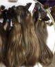 Наша компанія купує волосся від 35 см у Києві ДОРОГО