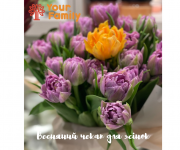 Весенний Check-up для женщин в медицинском центре Your baby.