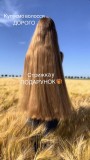 У ДНІПРІ купуємо волосся! Працюємо без вихідних та перерви