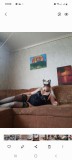 Предоставляю услуги,секс,эро массаж,БДСМ,куни,ани,фут фетиш