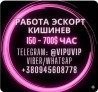 Работа Кишинев эскорт, сопровождение, досуг.