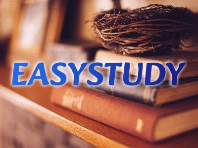 Замовити дипломну роботу в Україні від EasyStudy