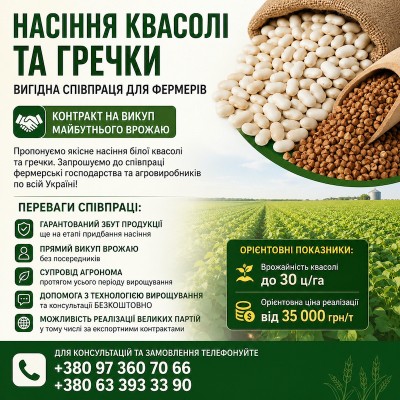 Насіння квасолі та гречки — вигідна співпраця для фермерів